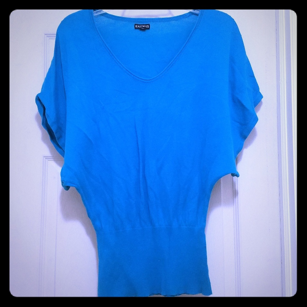 Express Batwing Sweater